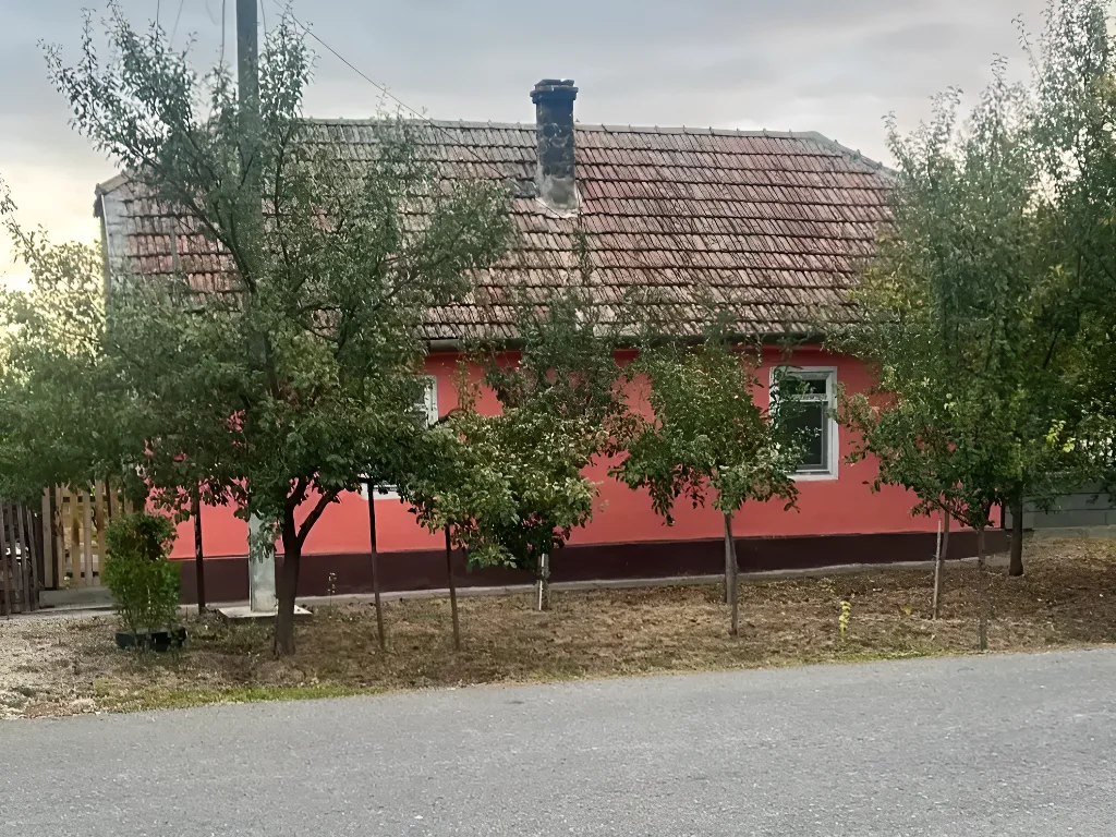 fatada casa rosie vanzare cumparare Dudeștii Noi Timiș